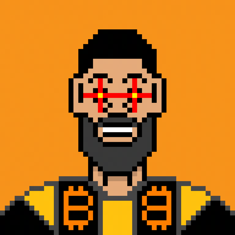 Bitcoin Maxi Punk